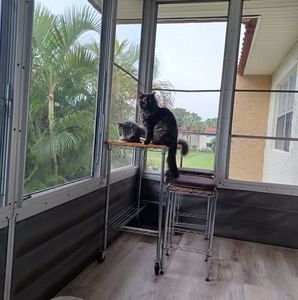 Meet your Posher, Jill